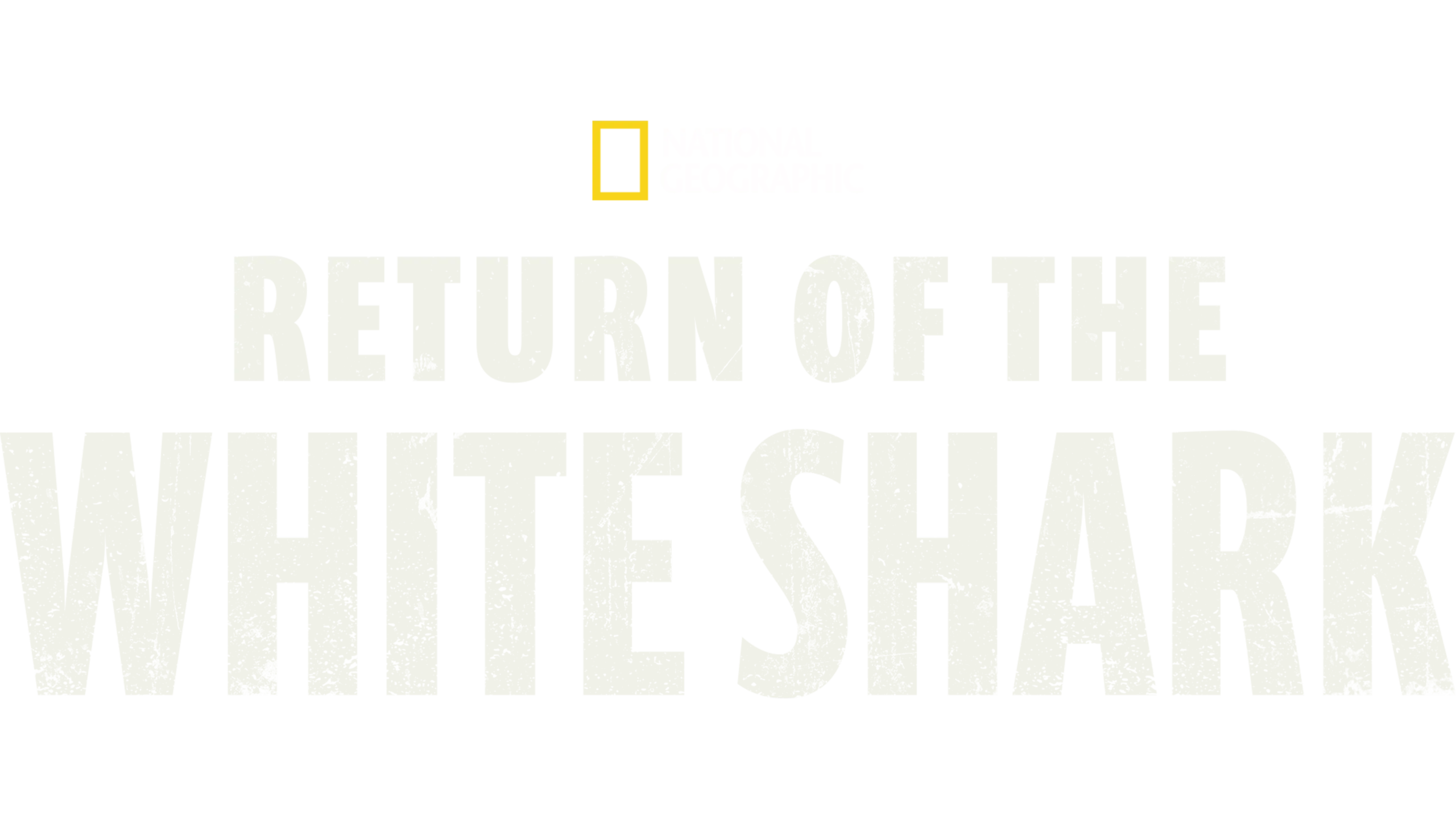 Return of the White Shark