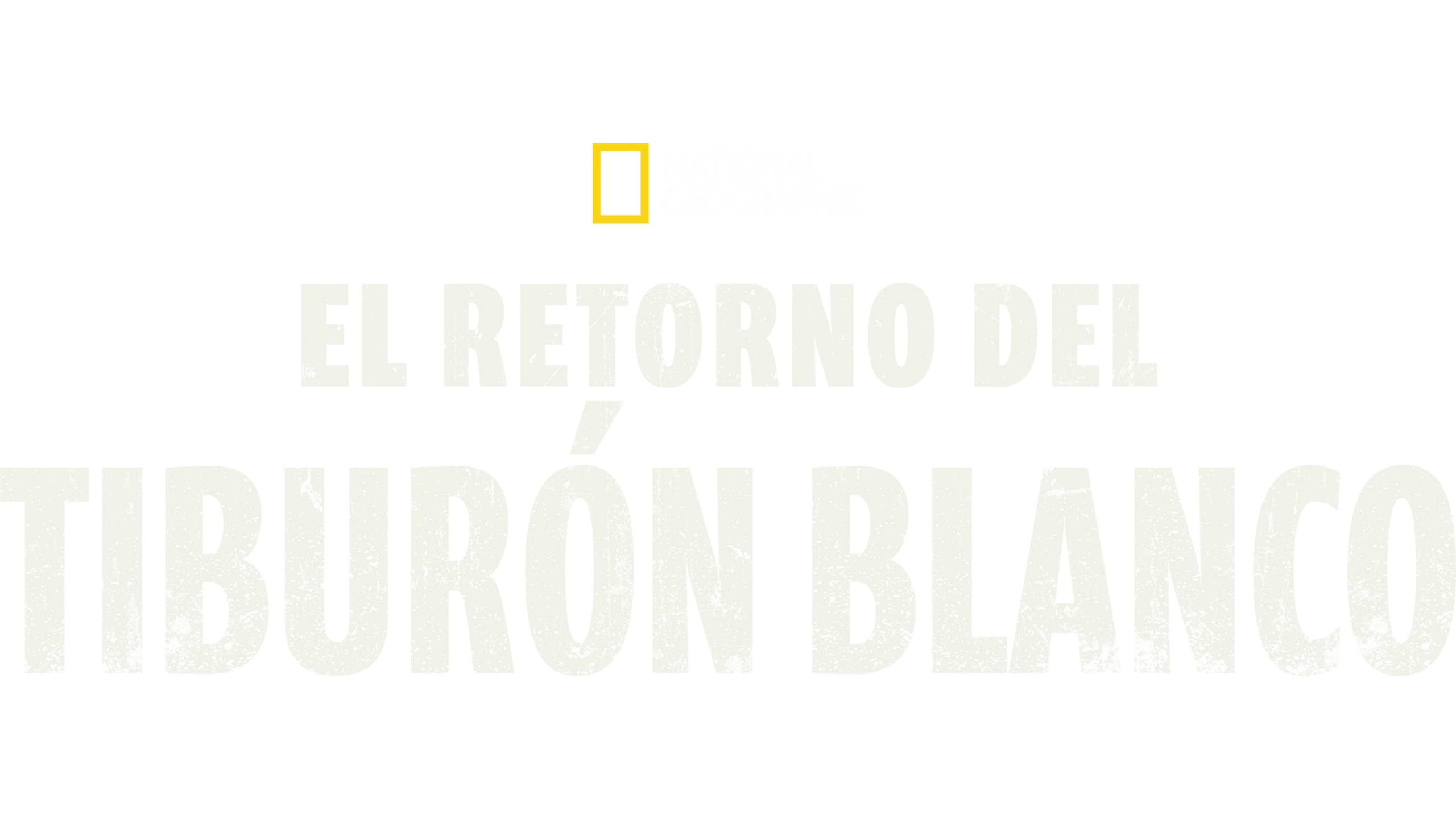 Return of the White Shark