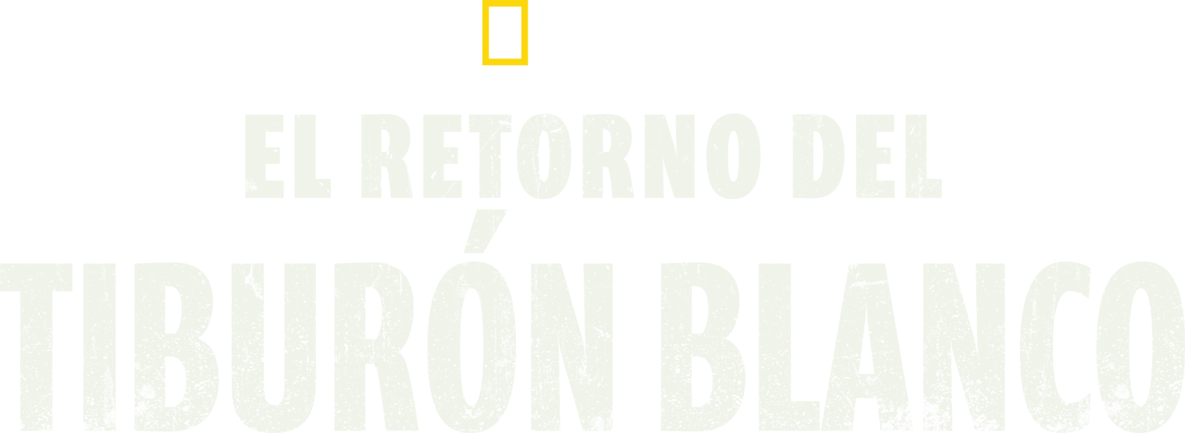 El Retorno del Tiburón Blanco
