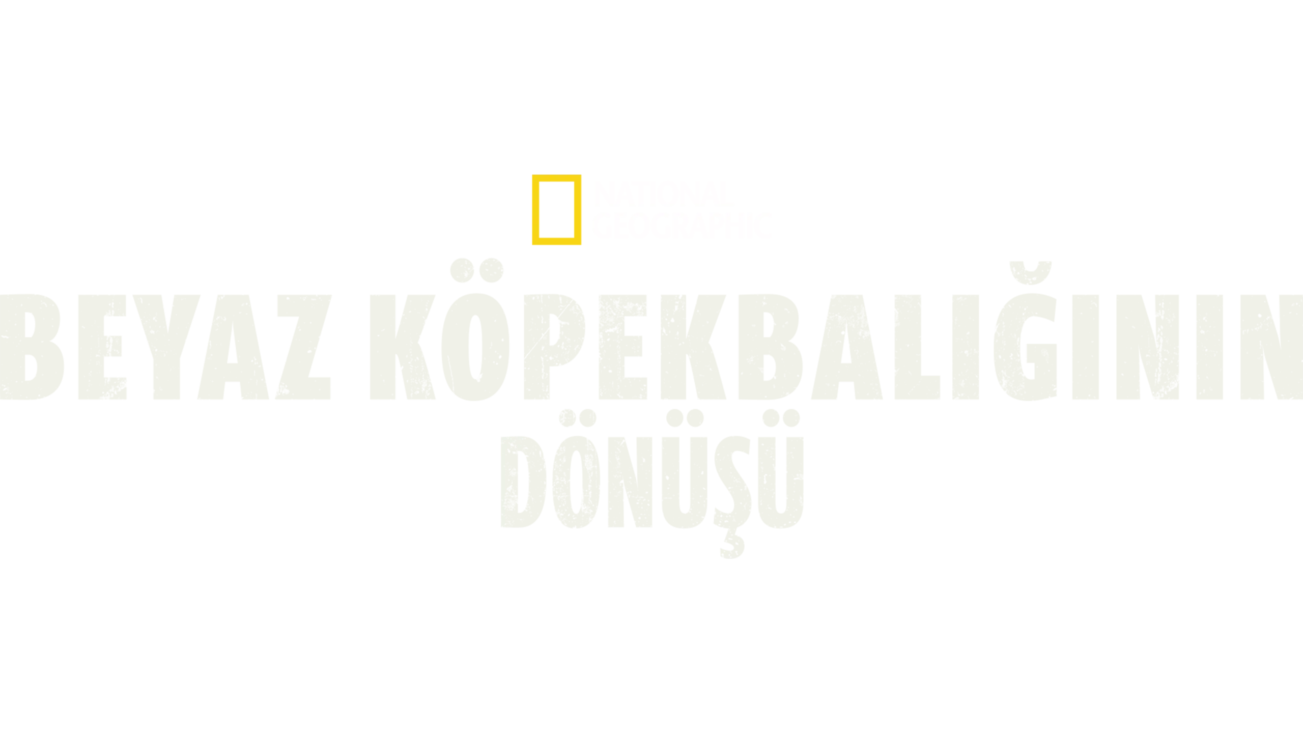 Büyük Beyaz Köpekbalığının Dönüşü