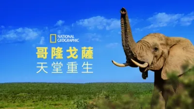 哥隆戈薩：天堂重生