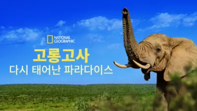 thumbnail - 고롱고사: 다시 태어난 파라다이스