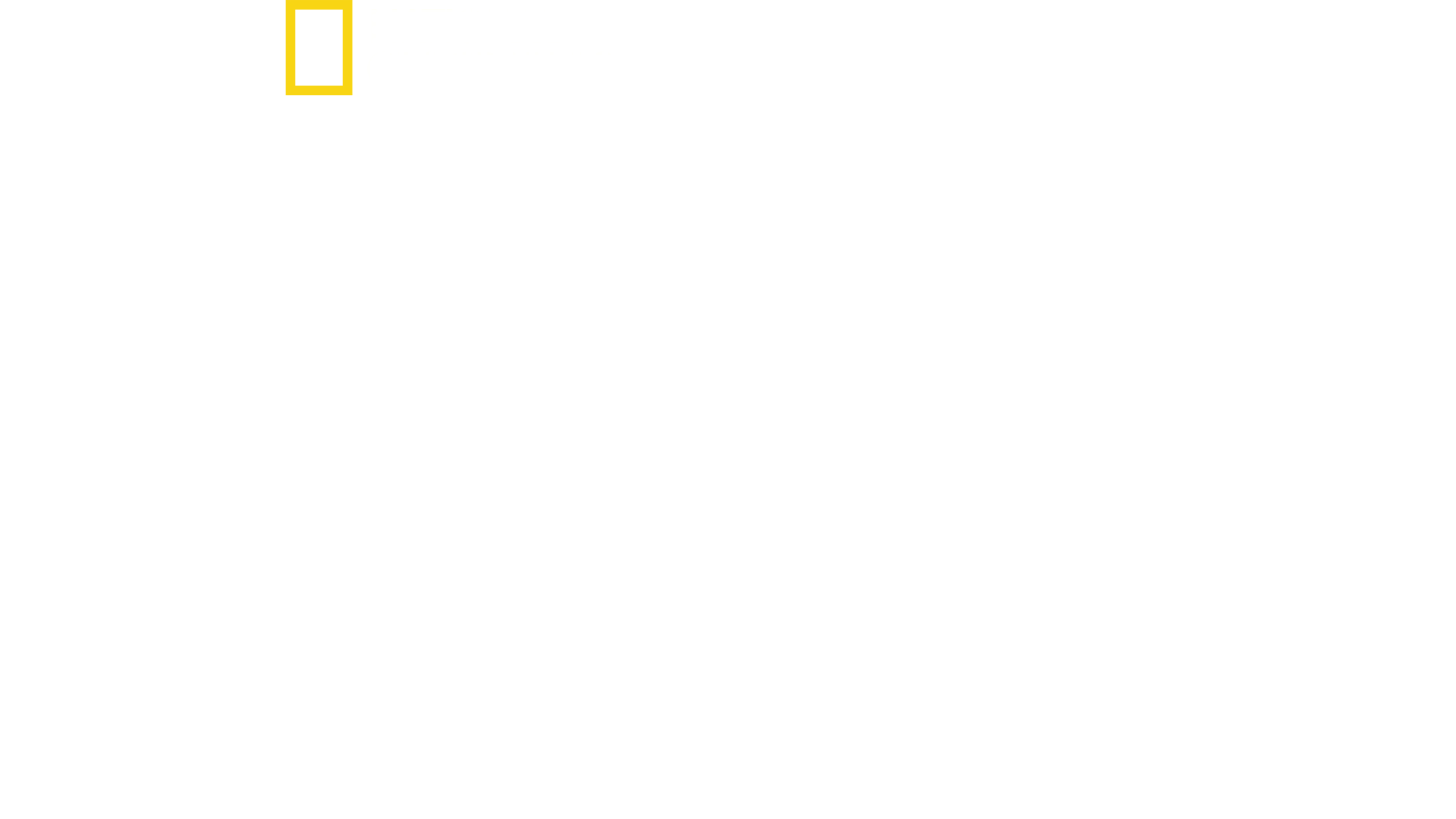 Extremsport: An den Grenzen des Möglichen