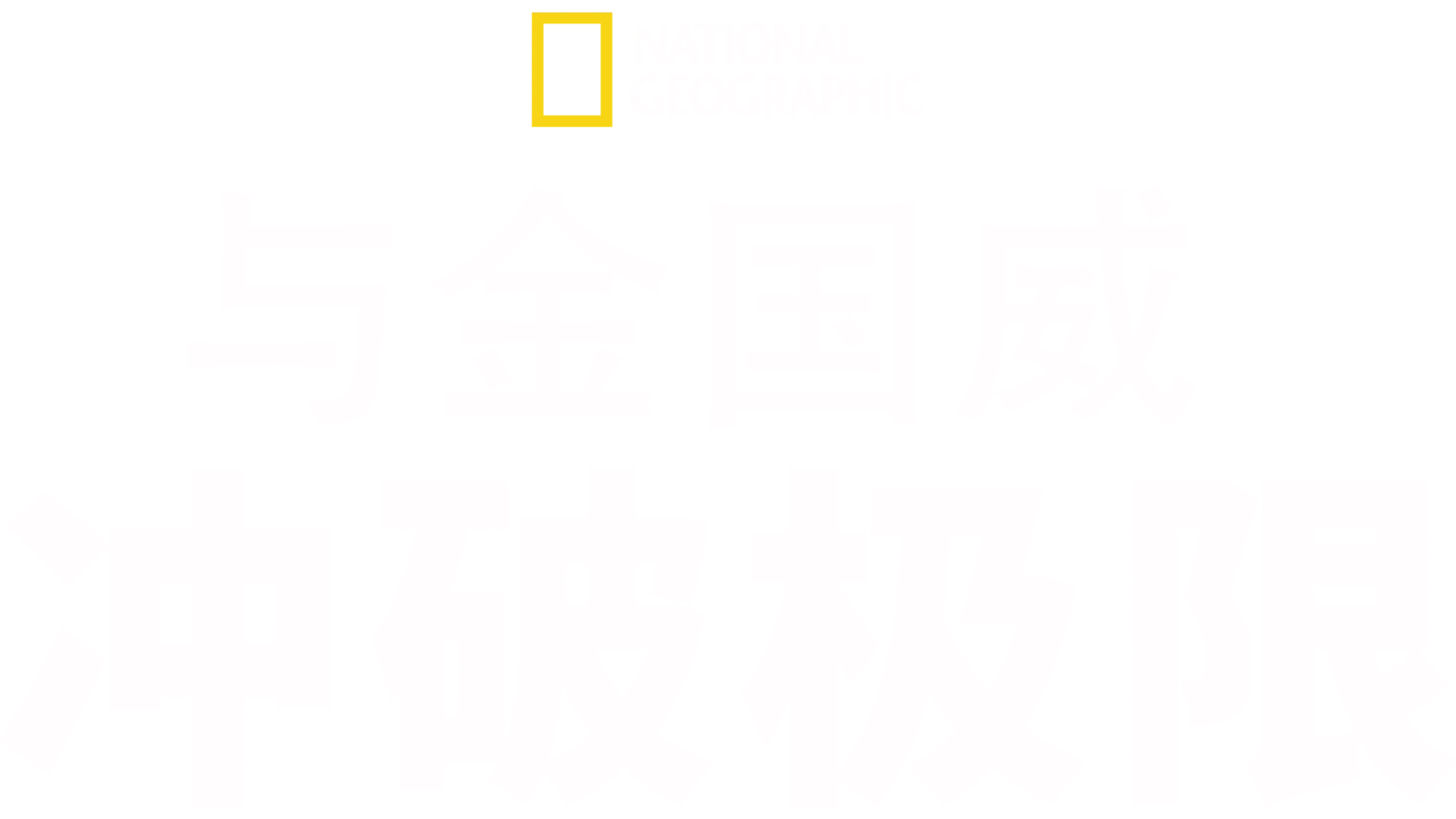 与金国威冲破极限