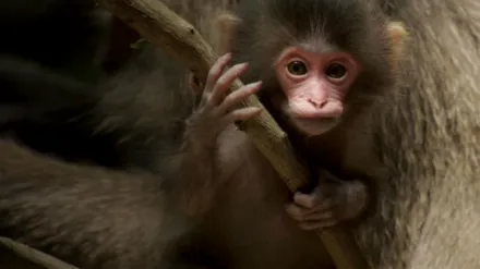 When Nature Calls with Helen Mirren