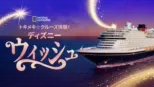 thumbnail - トキメキ☆クルーズ体験！ディズニー・ウィッシュ