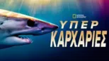 thumbnail - Υπερκαρχαρίες