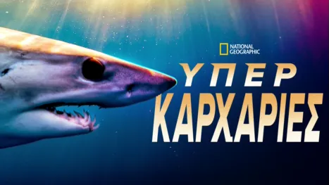 thumbnail - Υπερκαρχαρίες