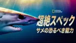 thumbnail - 超絶スペック：サメの恐るべき能力