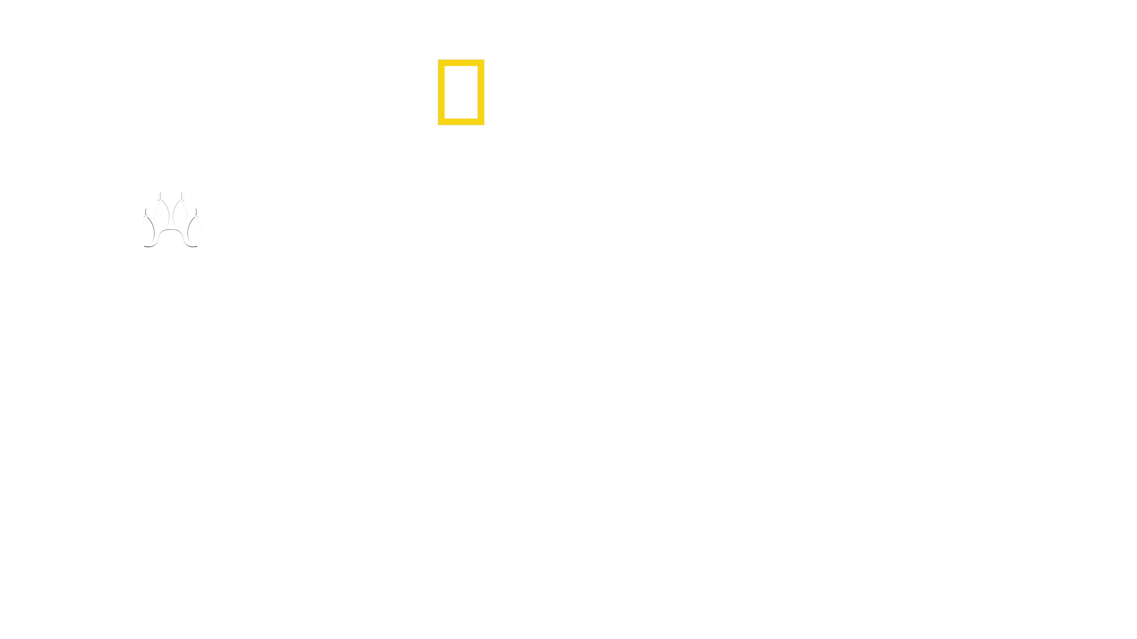 Hombre entre Chitas