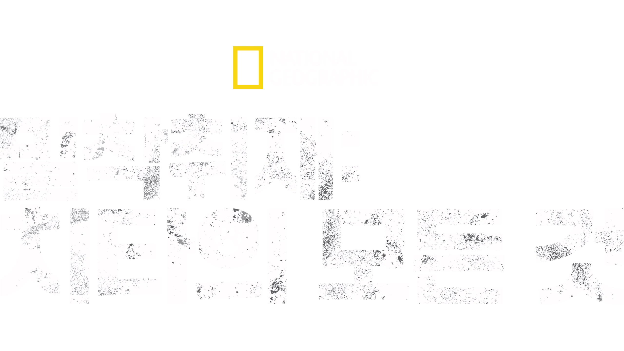 밀착취재: 치타의 모든 것