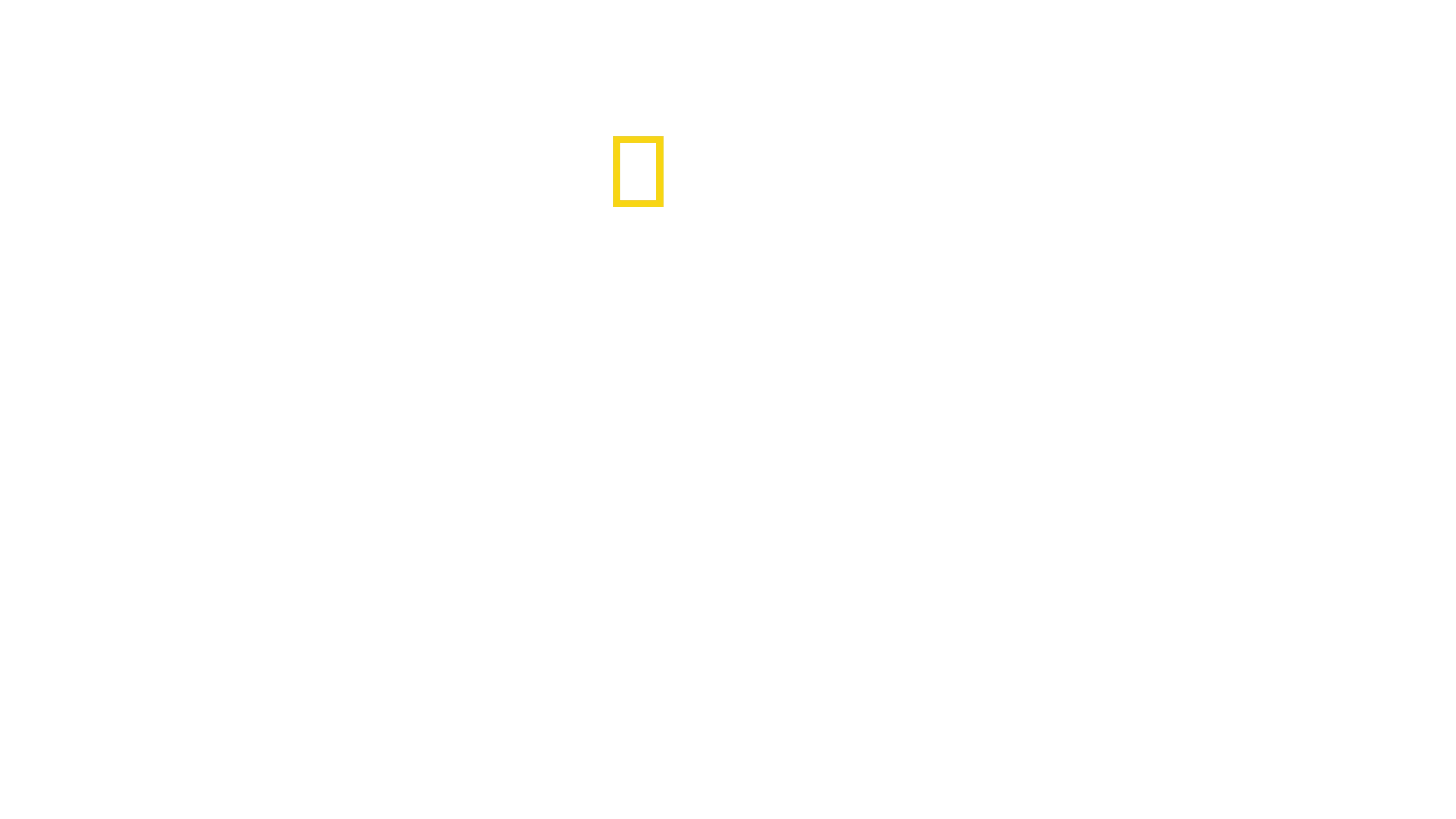 Una vita tra i ghepardi