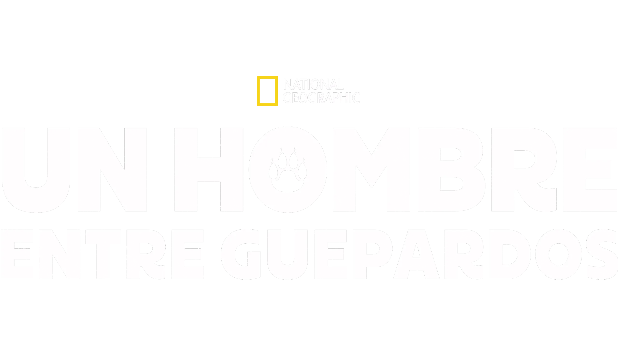 Un hombre entre guepardos