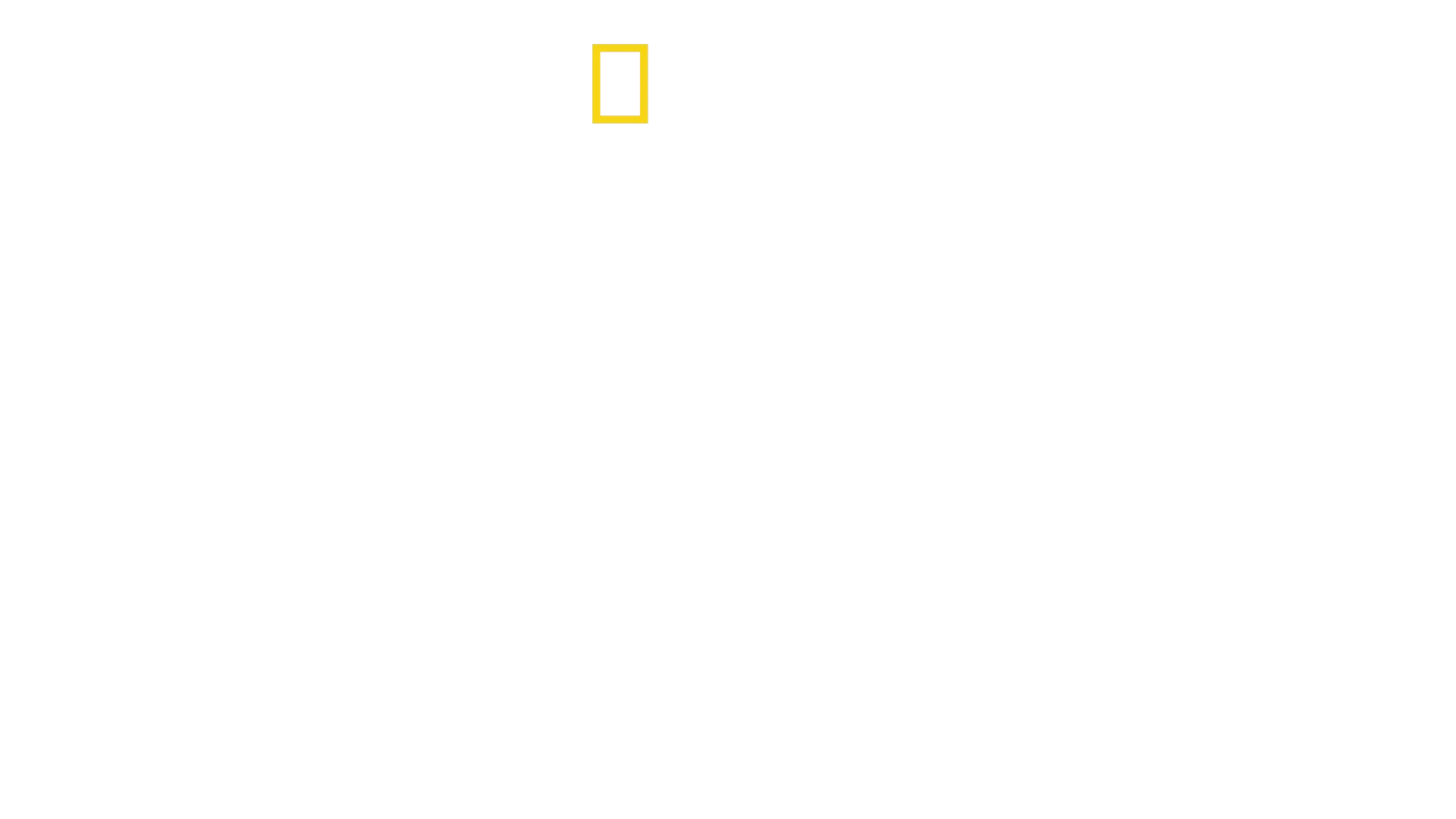 Howie Mandel's Animals Doing Things