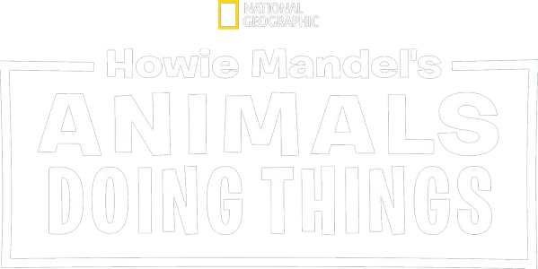 Howie Mandel's Animals Doing Things