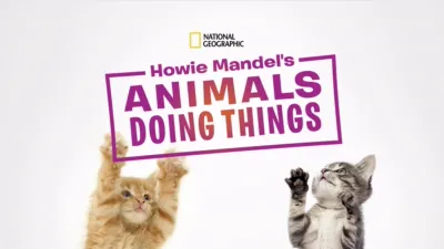 Howie Mandel's Animals Doing Things