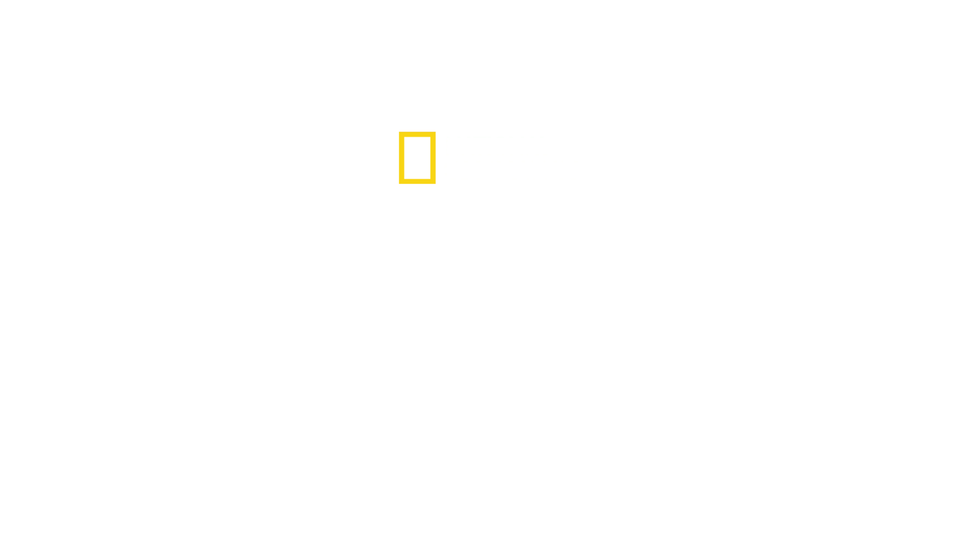 Alex Honnold ile Arktik Tırmanışı