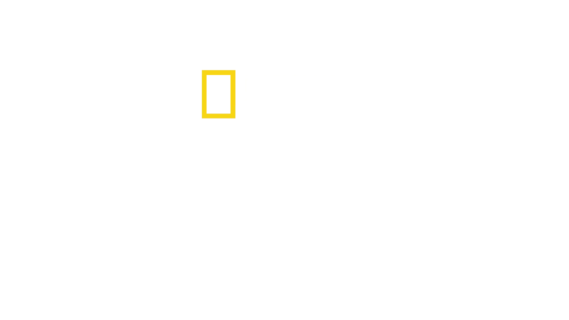 SUGARCANE／シュガーケイン