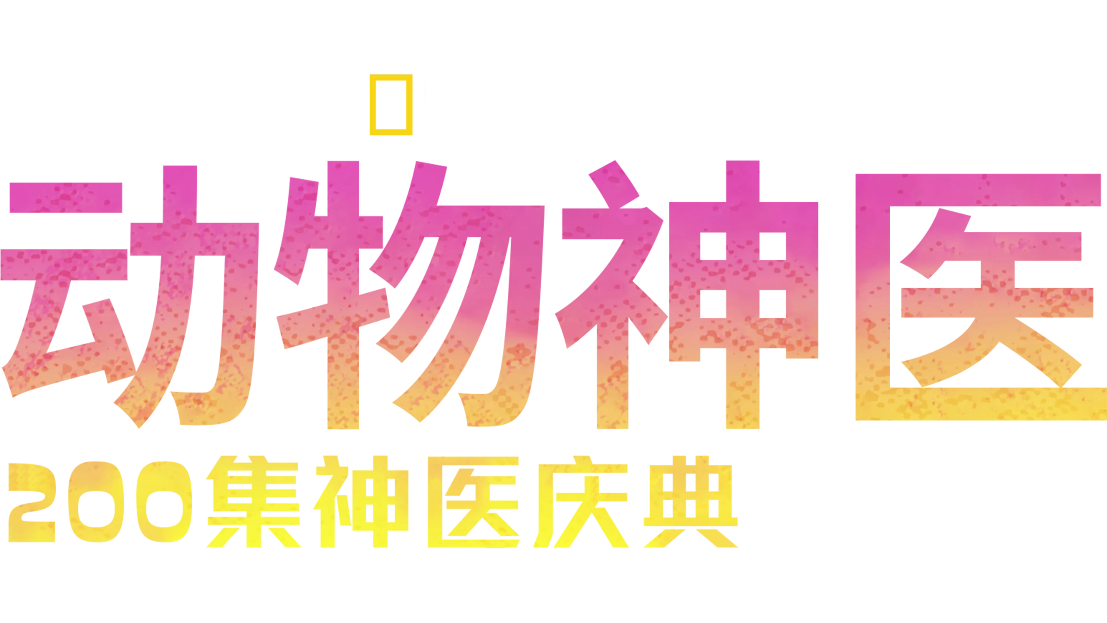 动物神医：200集神医庆典