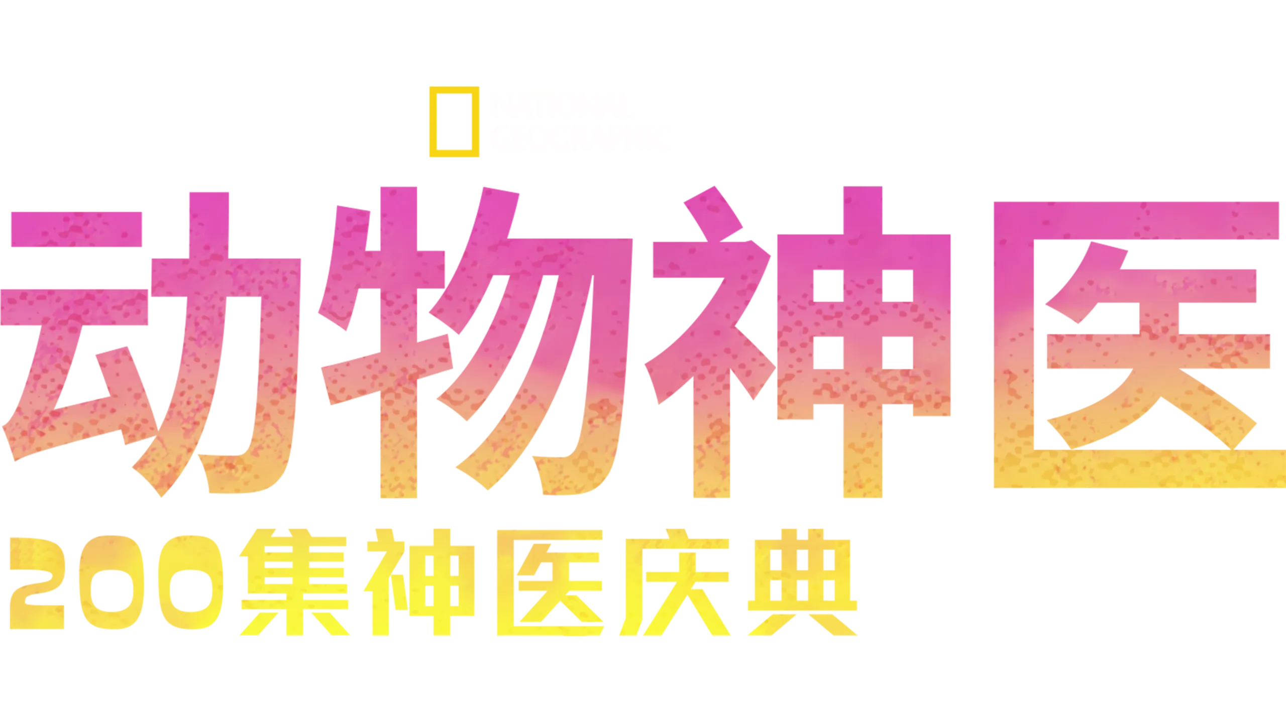 动物神医：200集神医庆典