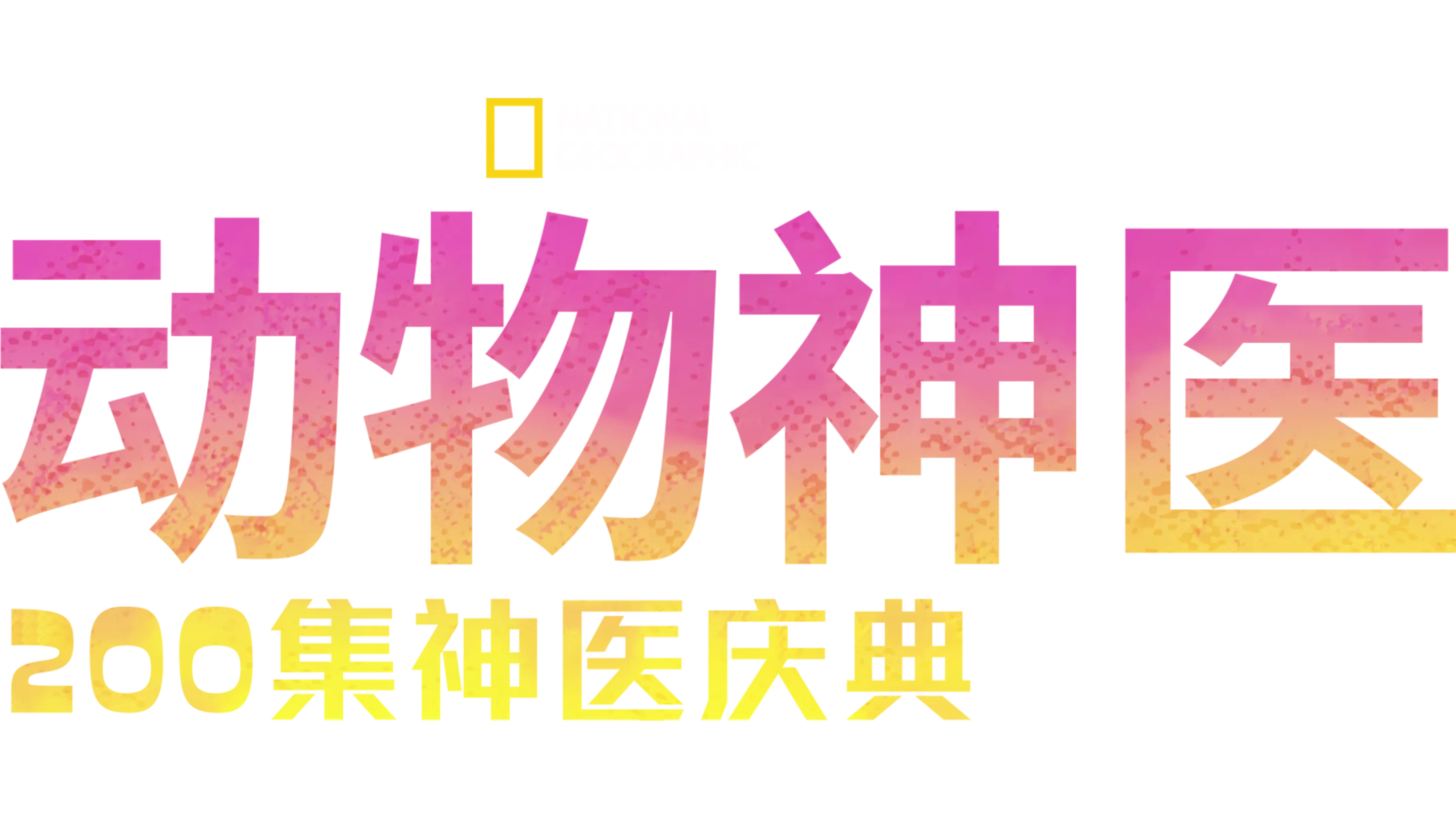 动物神医：200集神医庆典
