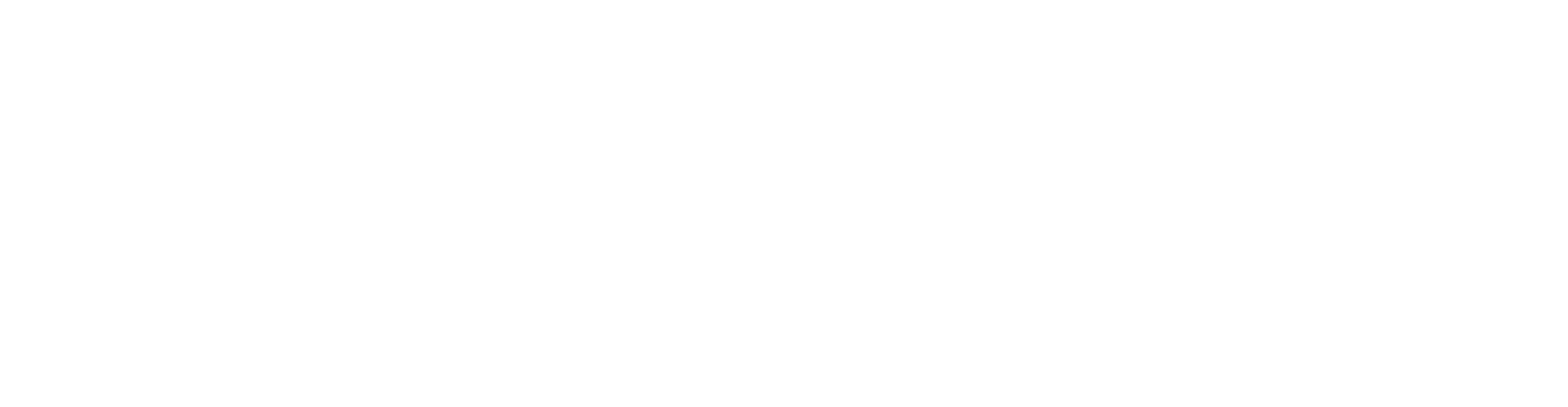 Die Fliege