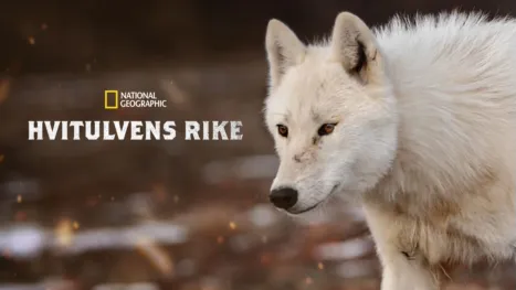 thumbnail - Hvitulvens rike