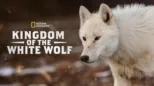 thumbnail - Kingdom of the White Wolf