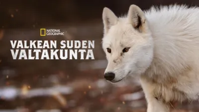 Valkean suden valtakunta