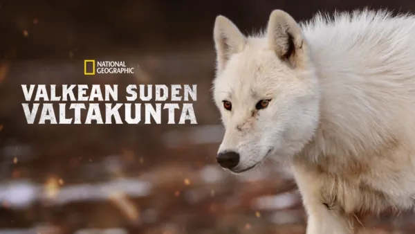 thumbnail - Valkean suden valtakunta