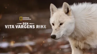 Den vita vargens rike