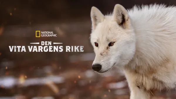 thumbnail - Den vita vargens rike