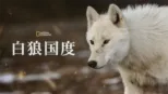 thumbnail - 白狼国度