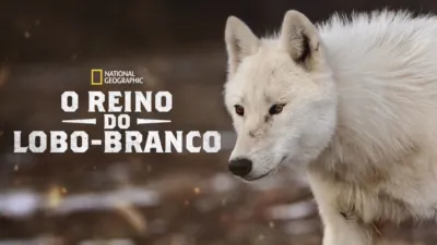 O Reino do Lobo-Branco