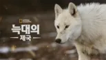 thumbnail - 늑대의 제국