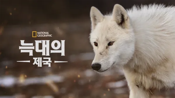 thumbnail - 늑대의 제국