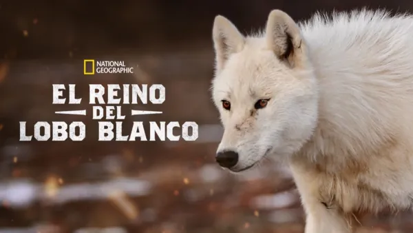 thumbnail - El reino del lobo blanco
