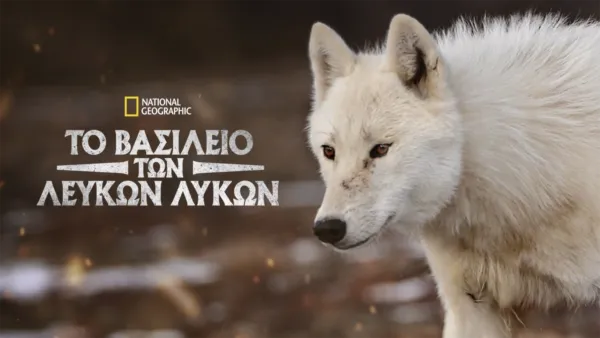 thumbnail - Το Βασίλειο των Λευκών Λύκων