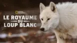thumbnail - Le royaume du loup blanc