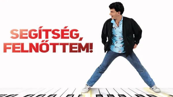 thumbnail - Segítség, felnőttem!