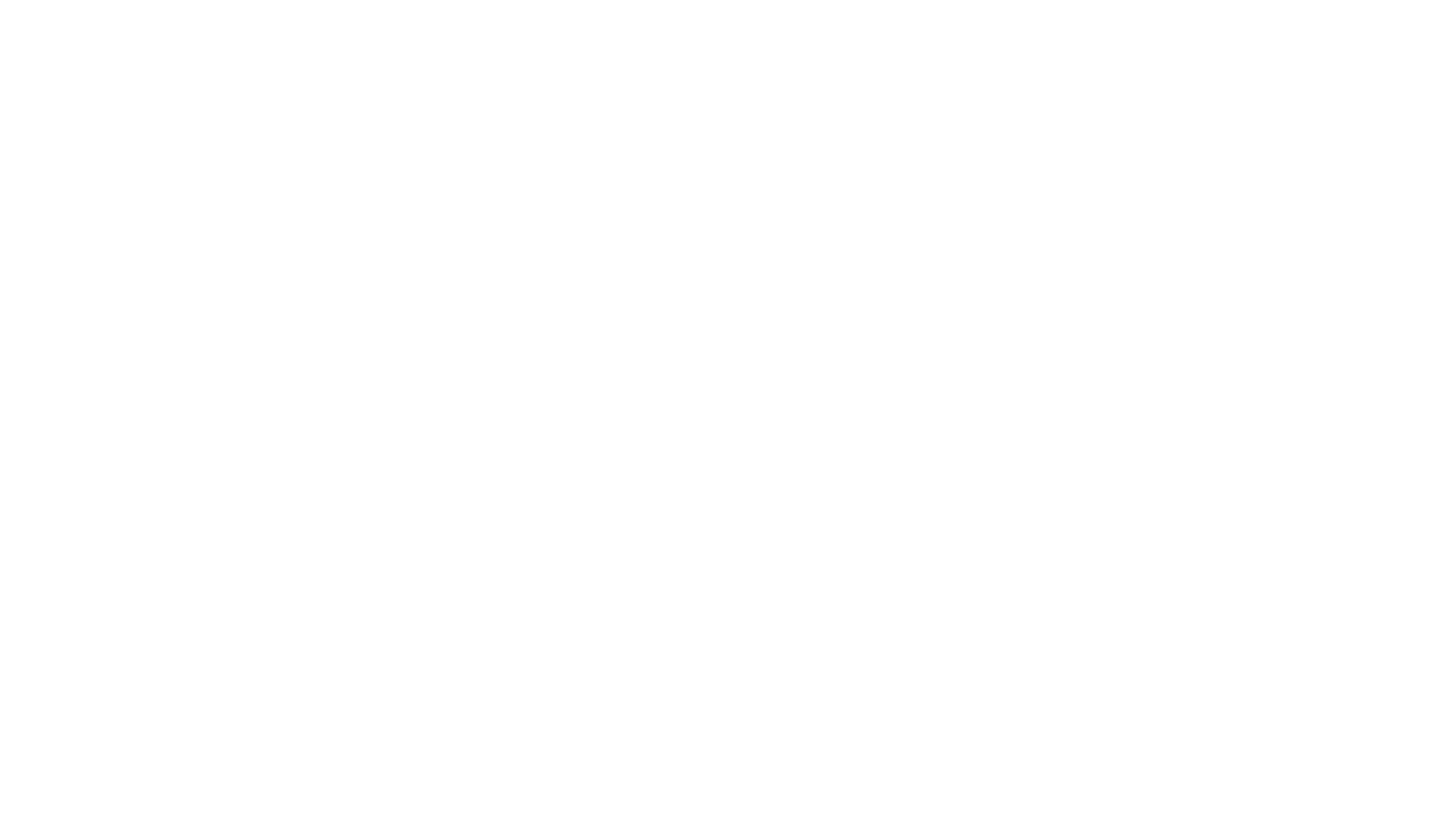 Il volo della fenice