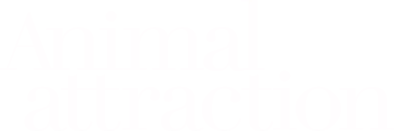 Animal Attraction