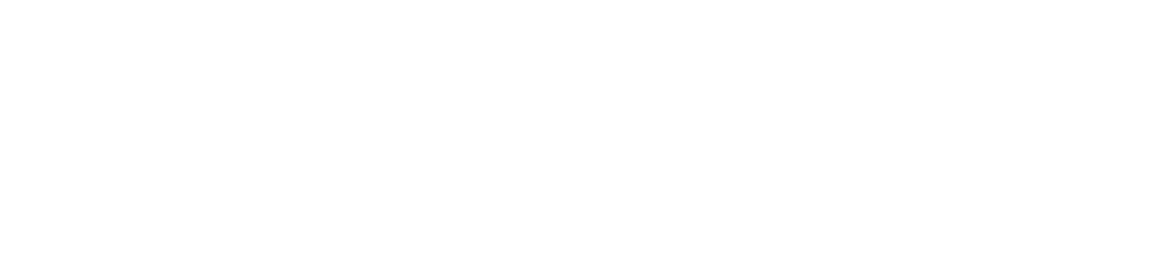 生死時速