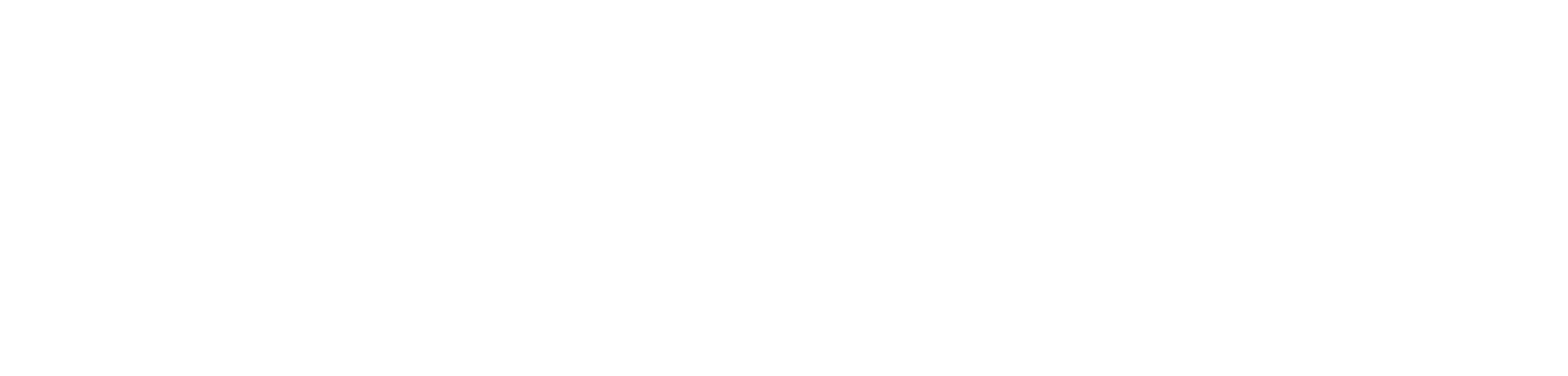Hız Tuzağı