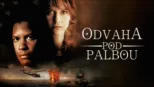 thumbnail - Odvaha pod palbou