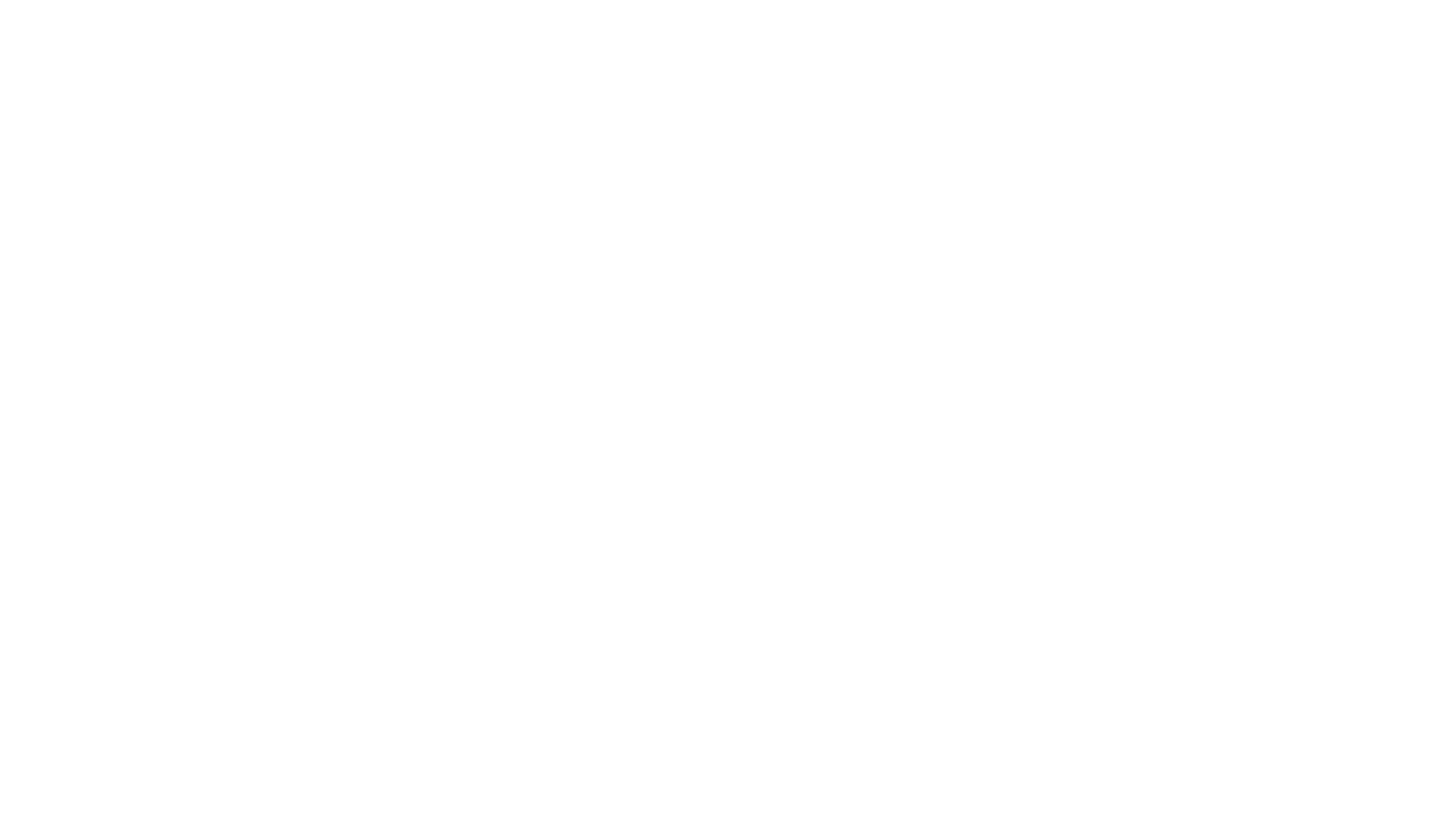 Gone Girl - Das perfekte Opfer