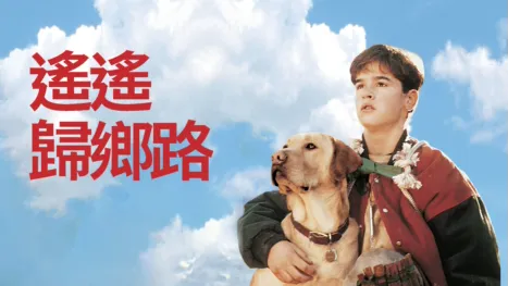 thumbnail - 遙遙歸鄉路