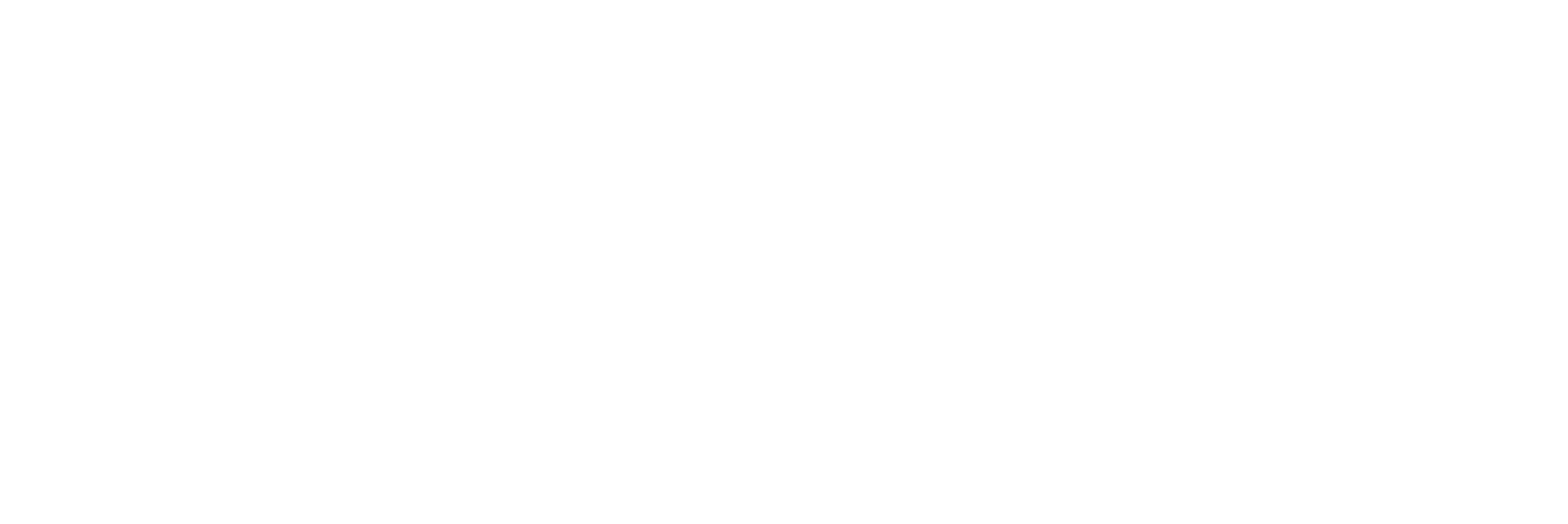 Száguldó bomba