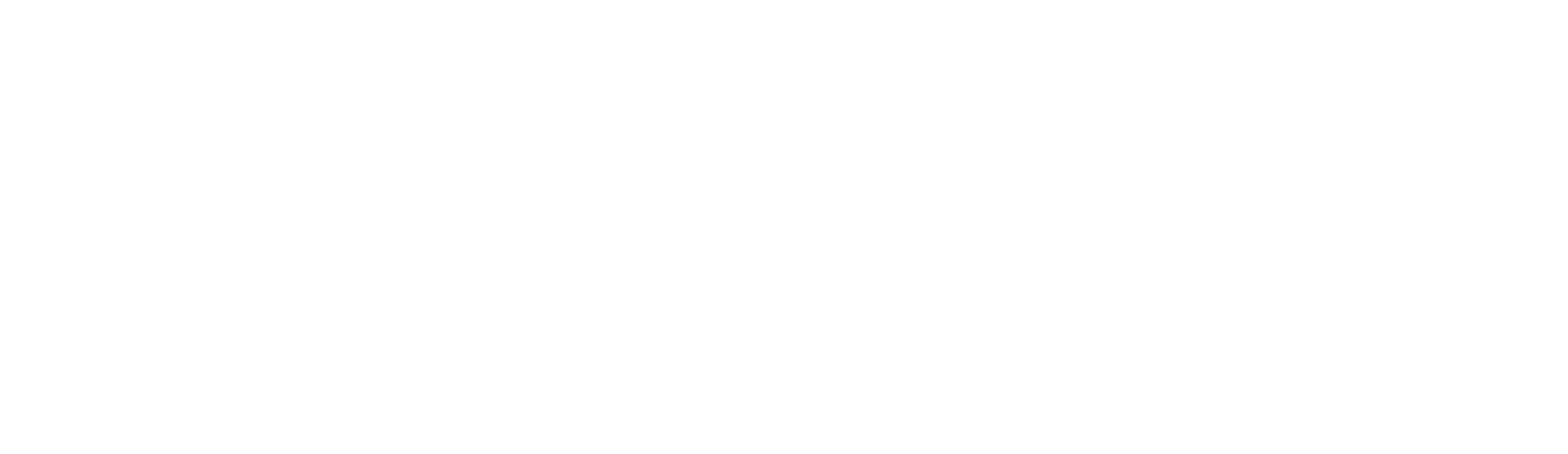 Brokedown Palace