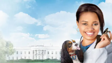 怪医杜立德：百万傻蛋